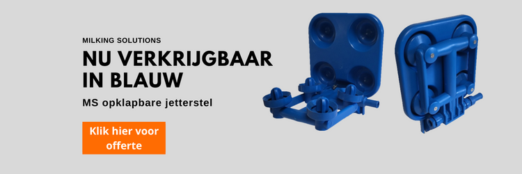 blue jetter Dutch 