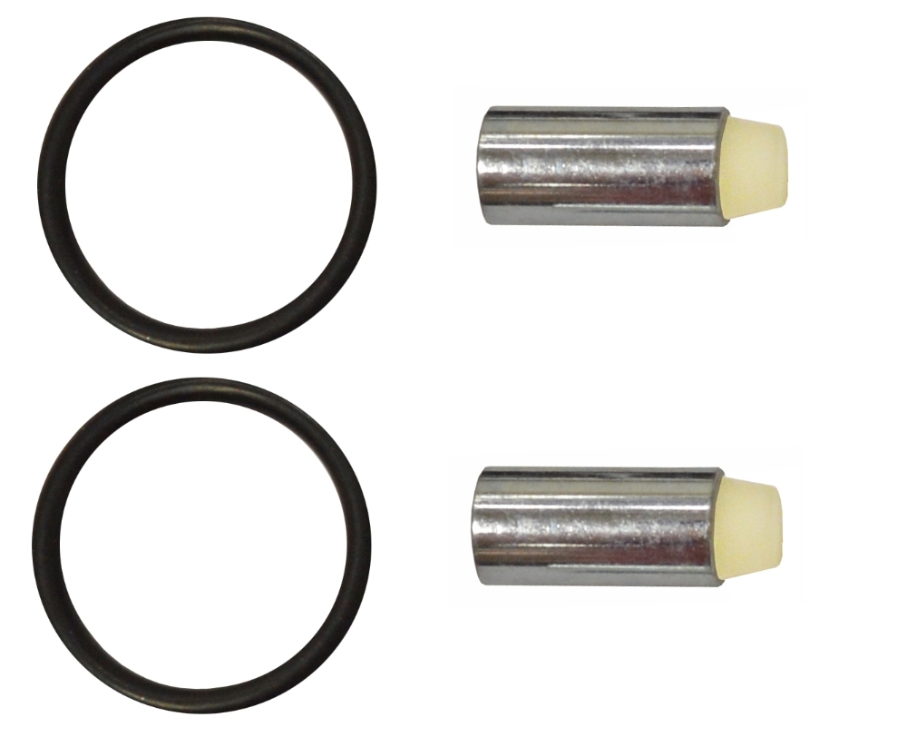 Kit Piston & Seal for Fullwood Legato Life Pulsator