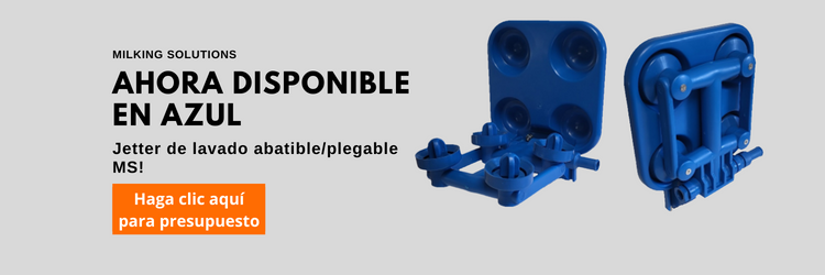 blue jetter Spanish
