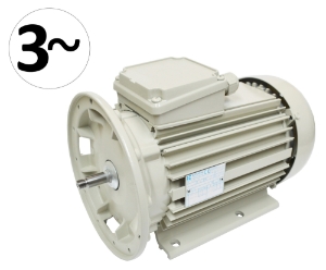 Motor Milk Pump FP66 1.5kW 240 Volt 3 phase
