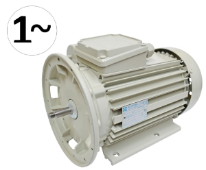 Motor Milk Pump FP66 1.5kW 220 Volt 1 phase