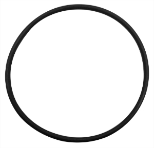 MS O Ring For Fullwood FP66 Milk Pump Casing