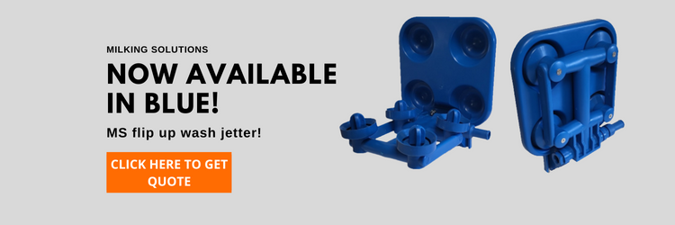 blue jetter English